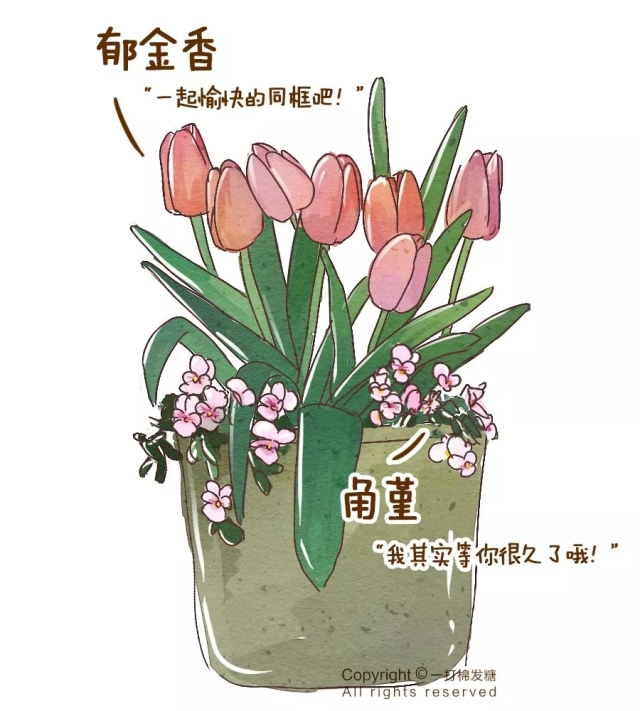 你也想拥有一个繁花似锦的春天？有这份球根种植笔记就够了