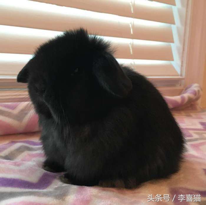 冬天这么冷就多互相温暖吧,冬天这么冷我们互相取暖