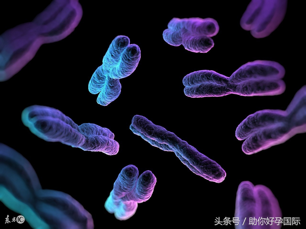 不明原因复发性流产多长时间能生,男性因素导致的复发性流产