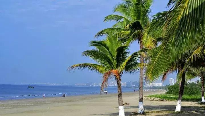 12月机票购买,12月低价机票