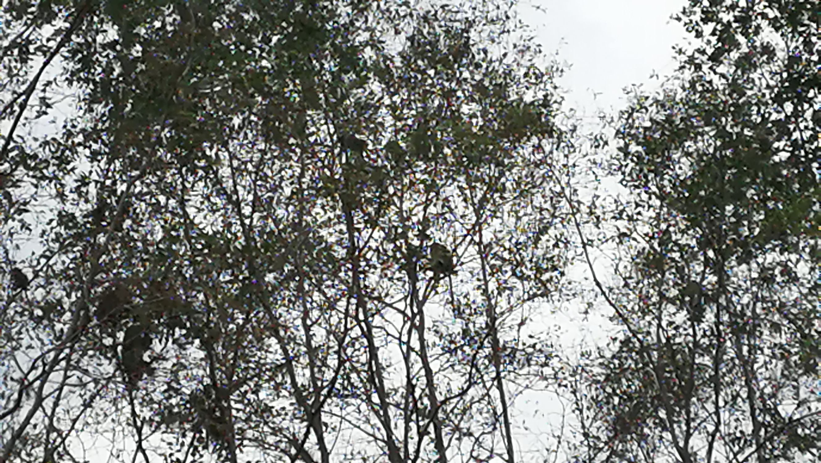 沙巴自由行超详细攻略,第一次去沙巴订的酒店怎么样