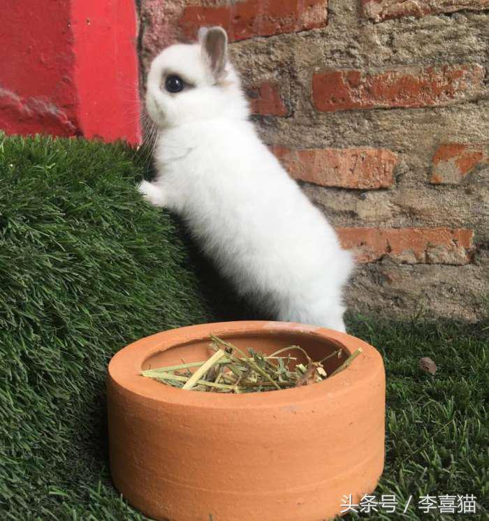 冬天这么冷就多互相温暖吧,冬天这么冷我们互相取暖