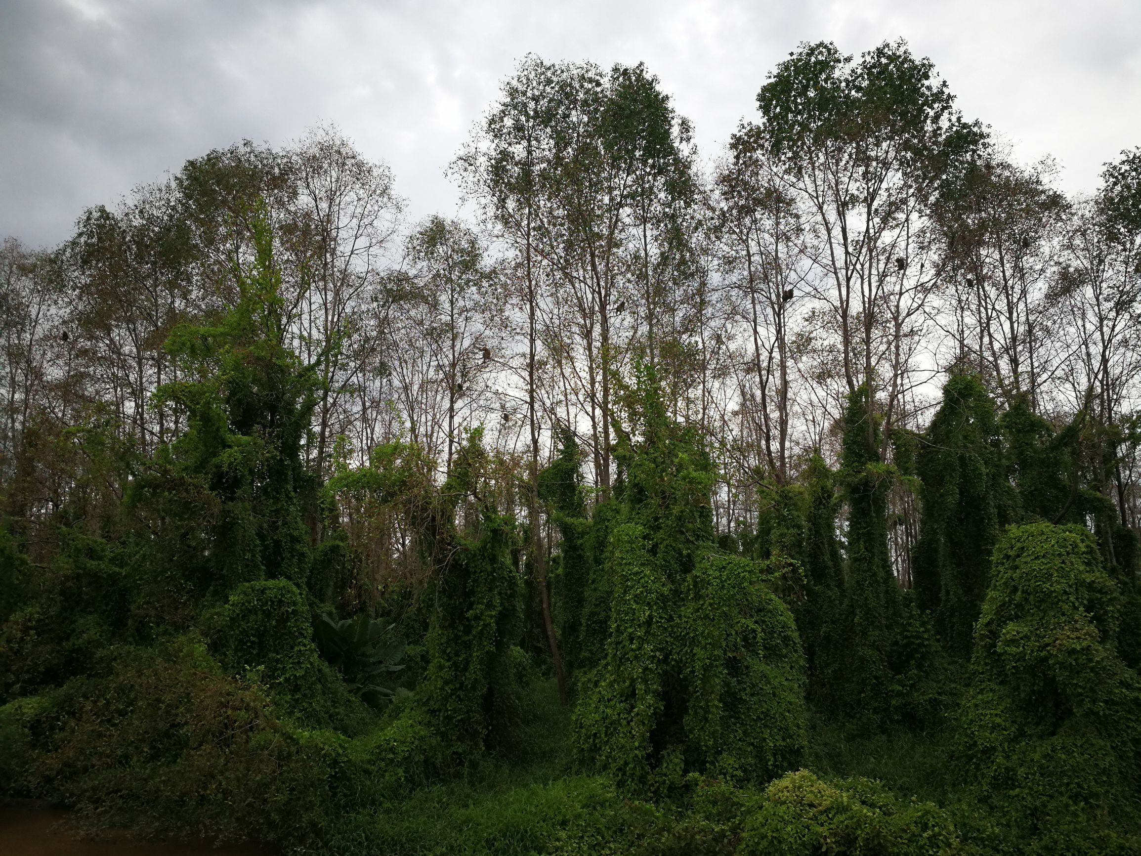 沙巴自由行超详细攻略,第一次去沙巴订的酒店怎么样