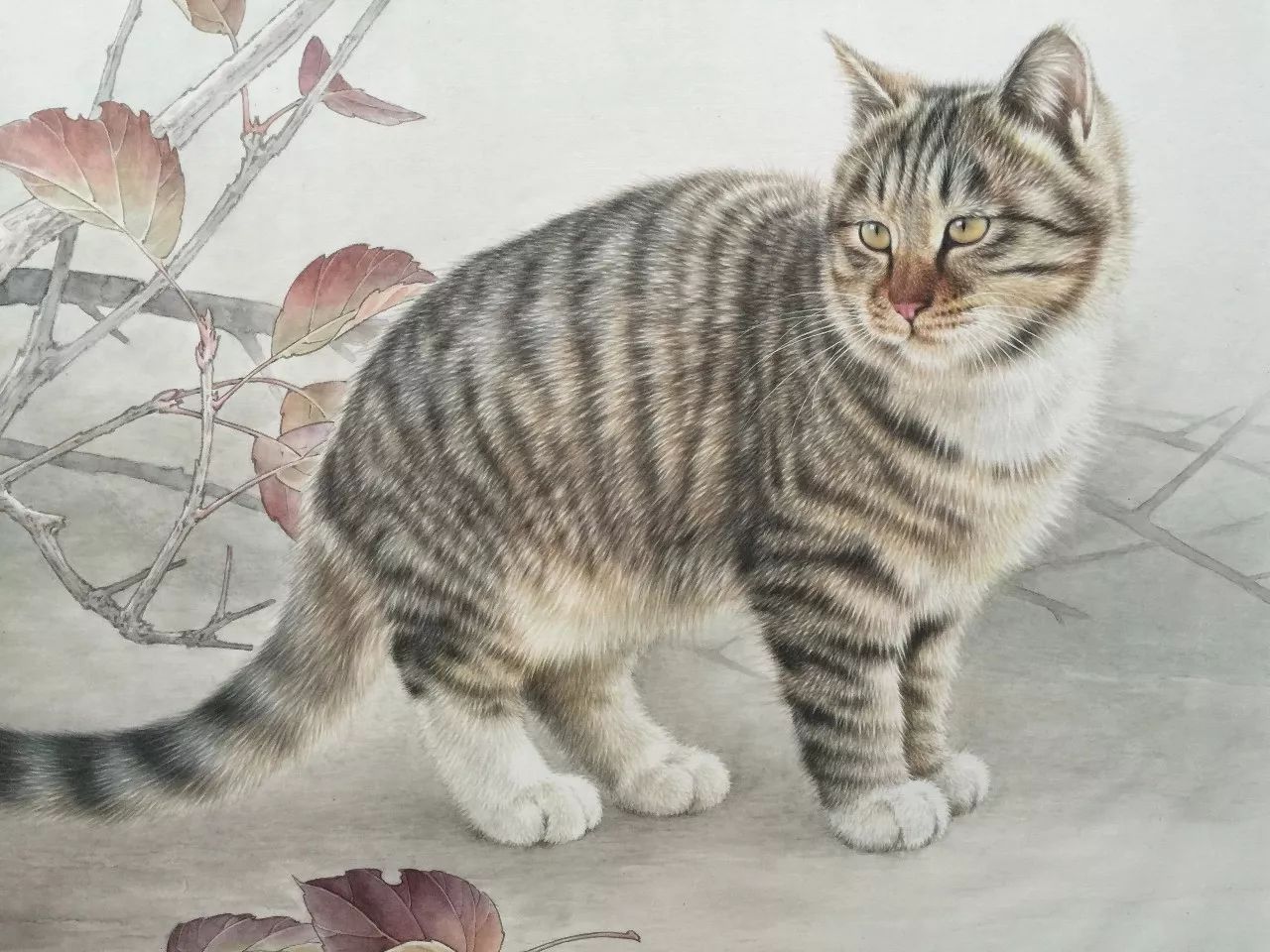 邢诚爱工笔猫扑蝶画法,邢诚爱工笔画猫白描底稿