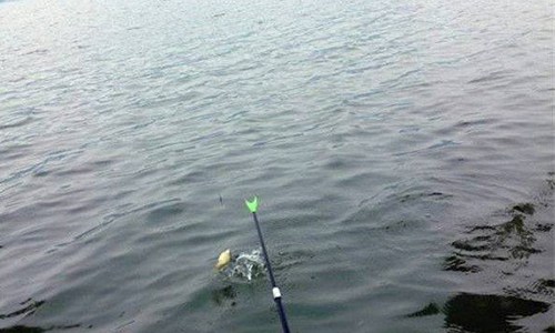 钓鱼风浪大怎么调漂,钓鱼碰到风浪大时如何调漂