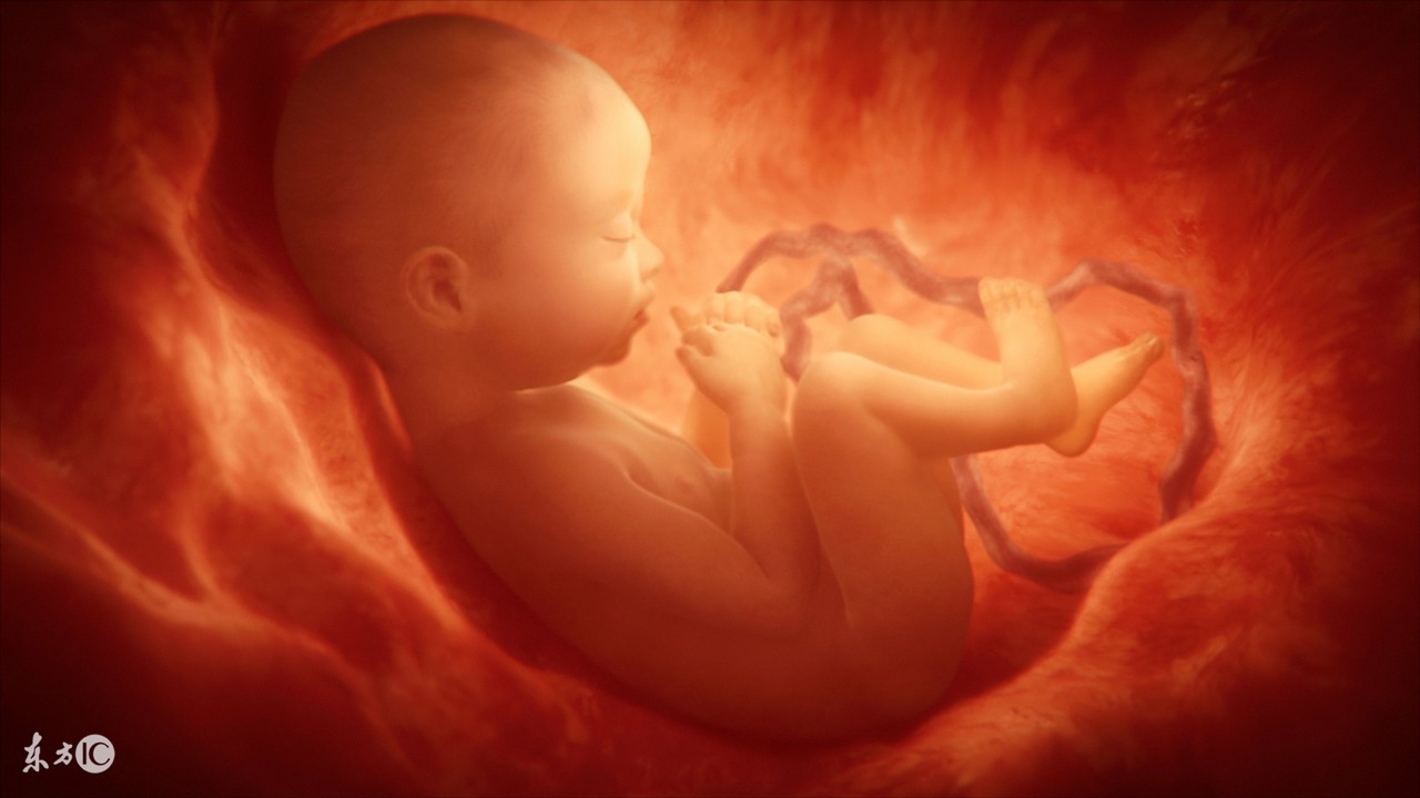 孕十一周羊水正常范围,孕周和羊水指数的对照表