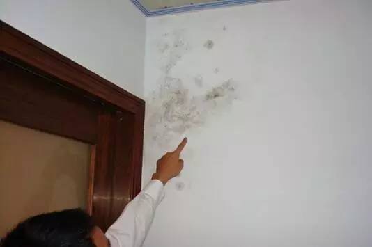 墙面受潮、返碱后如何处理？