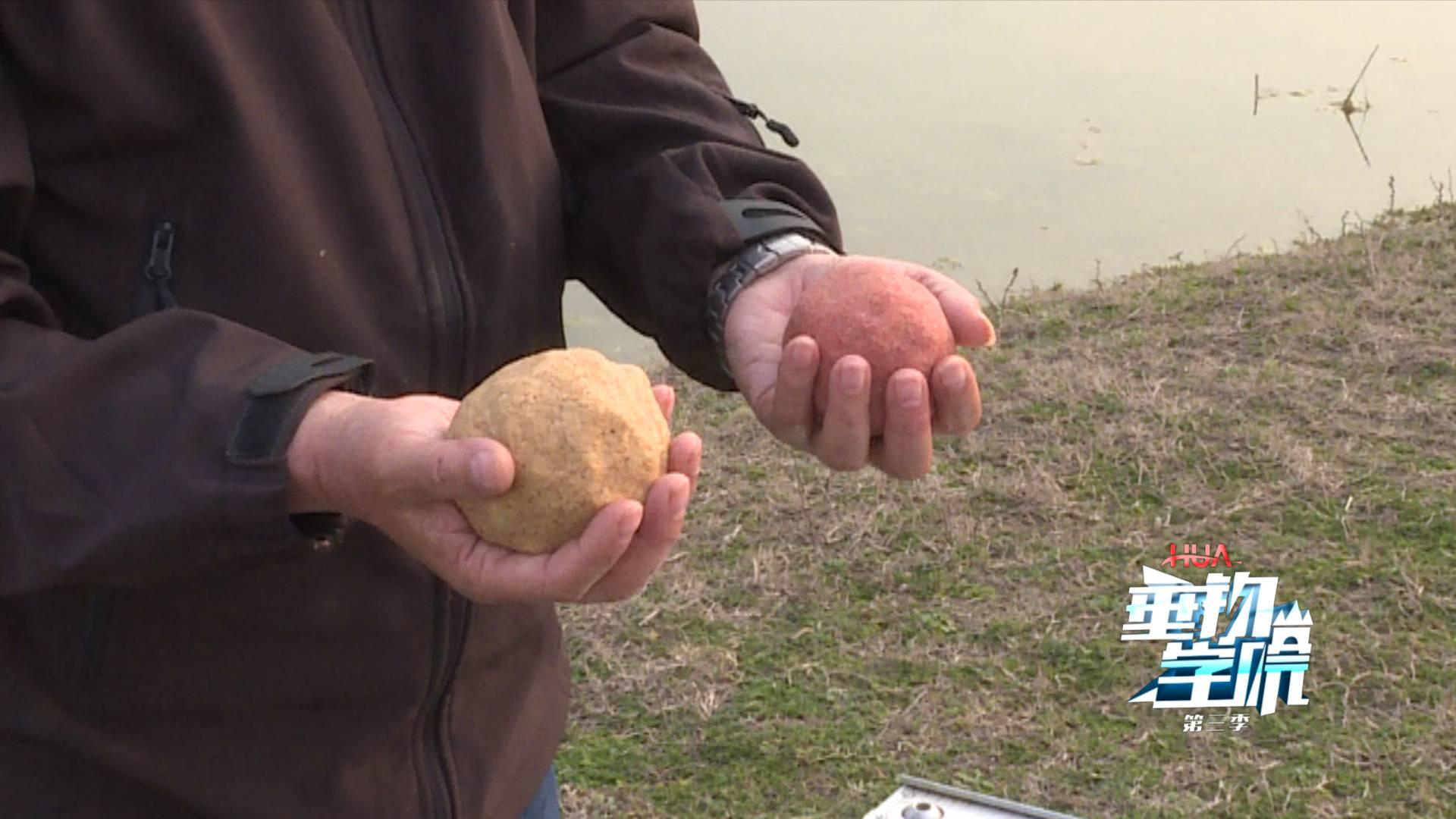 野钓小杂鱼闹窝太严重怎么办,为什么小杂鱼闹窝却钓不上来