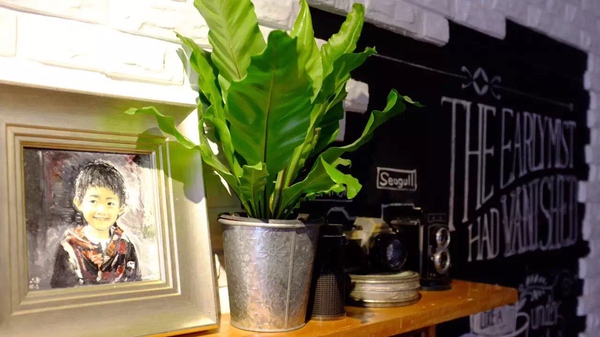 摘自知乎，问题：有哪些价格不贵逼格又高的家装家居？