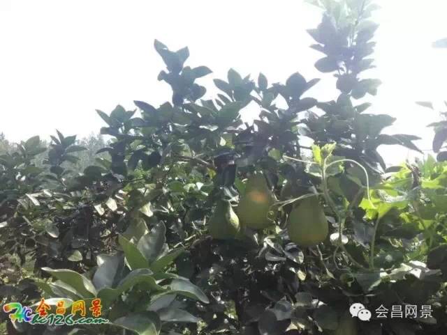 会昌富城瀑布路线,会昌美景画