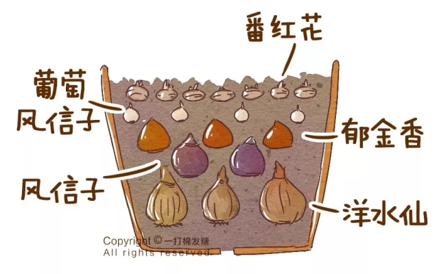 你也想拥有一个繁花似锦的春天？有这份球根种植笔记就够了
