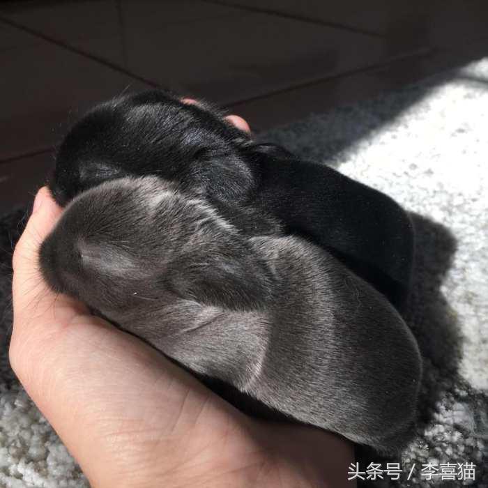 冬天这么冷就多互相温暖吧,冬天这么冷我们互相取暖