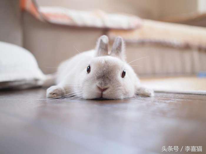 冬天这么冷就多互相温暖吧,冬天这么冷我们互相取暖