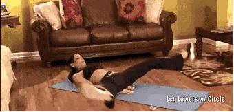 有效快速瘦腰,帕梅拉蚂蚁瘦腰训练