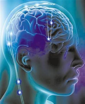 研究发现大脑可塑性机制,大脑激活模式解码最新研究进展