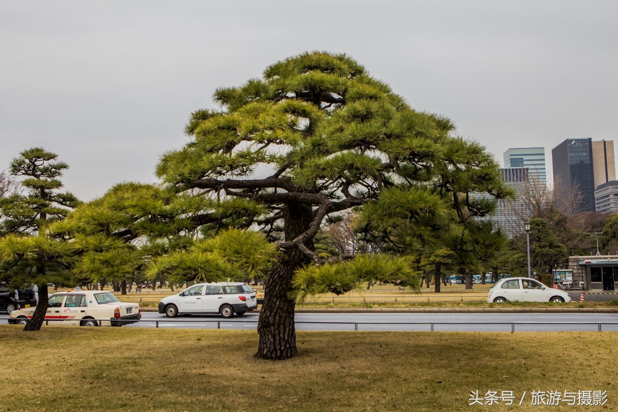 认识日本瓷器,认识日本国旗
