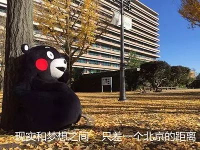 长春到底有多少大,长春到底有多大