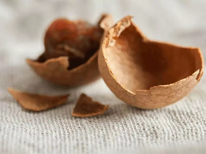 桂圆干怎么吃最补气血,桂圆干怎么吃最补气血效果好