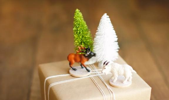 怎么用一分钟做出圣诞礼物,自己做简单又好看的圣诞礼物