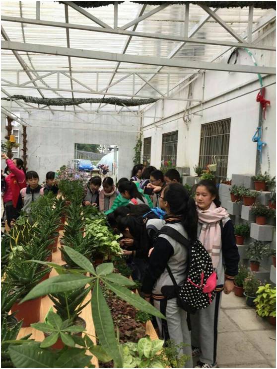 福州杨桥中学和桔园四中哪个好,福州杨桥中学好还是十八中好