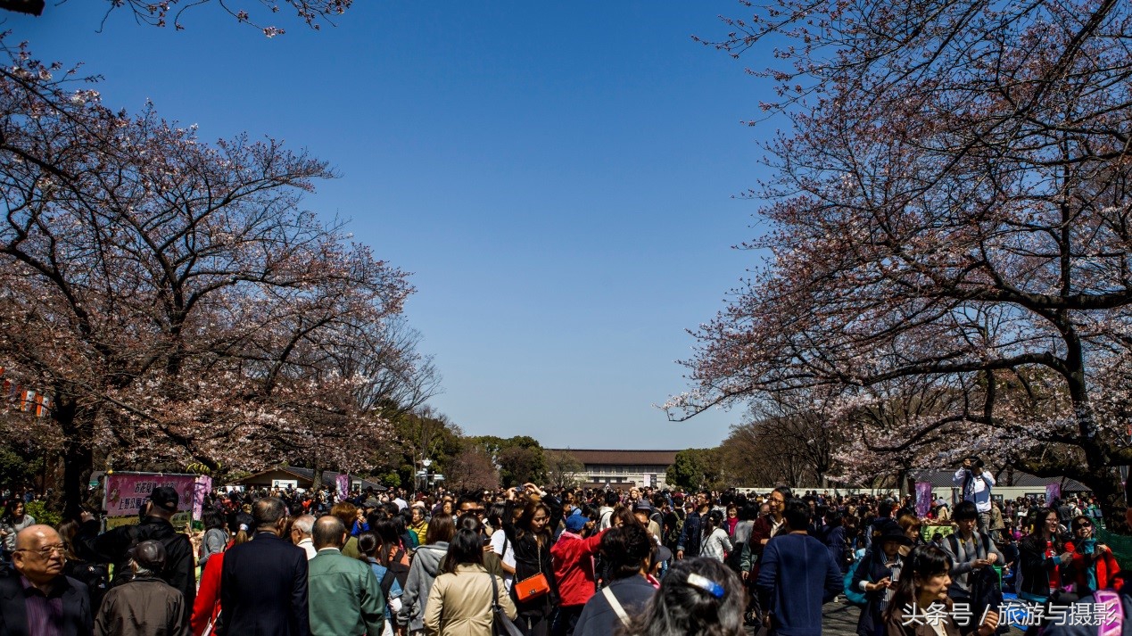 认识日本瓷器,认识日本国旗