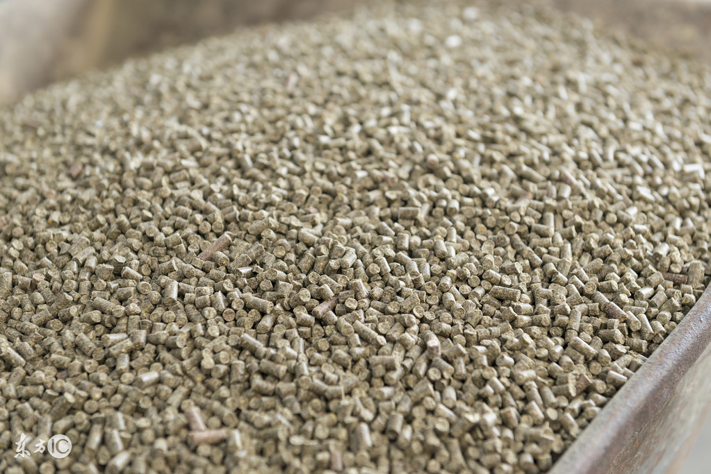 什么病会造成猪脱肛,猪脱肛病