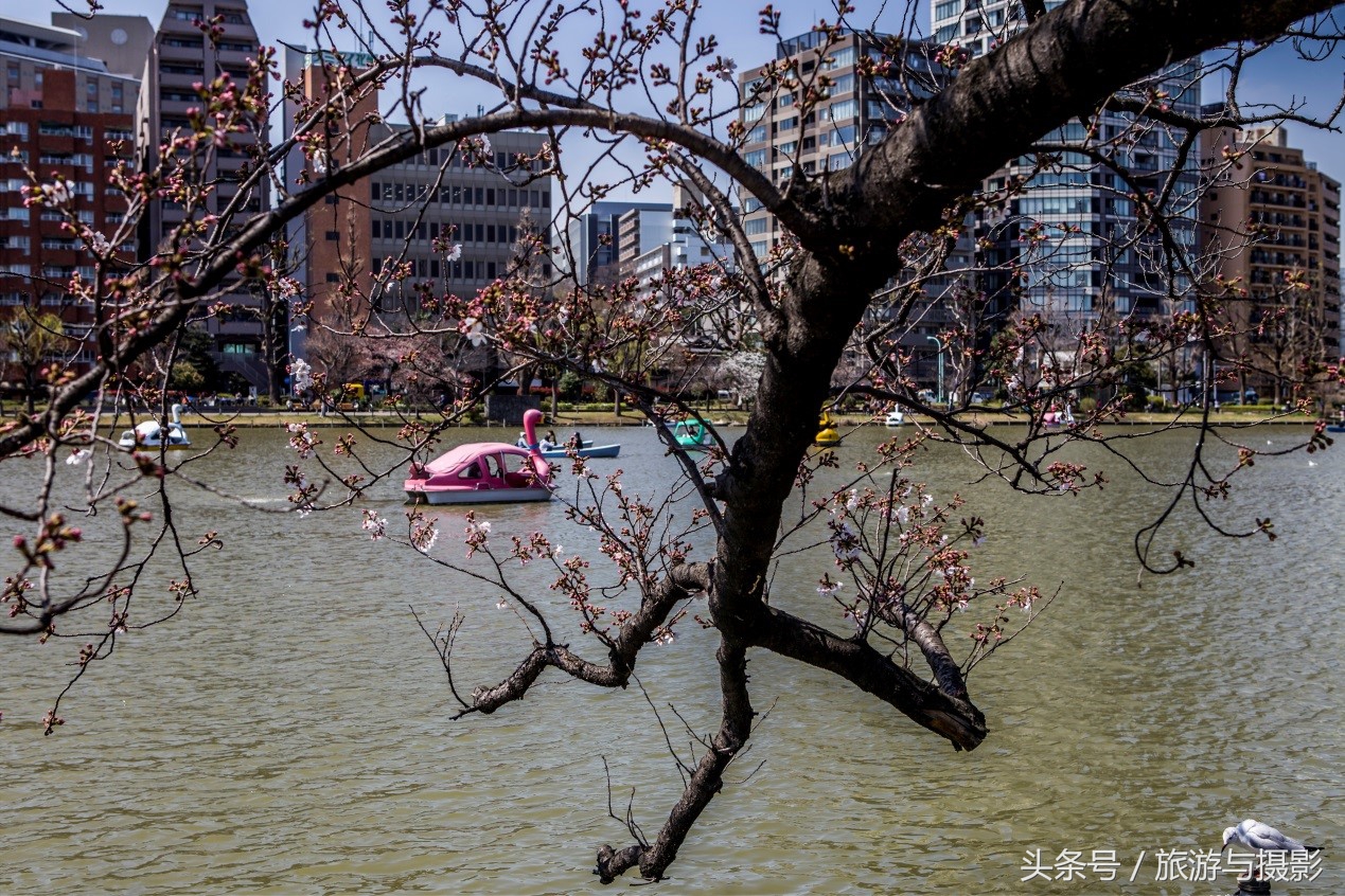 认识日本瓷器,认识日本国旗