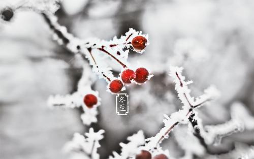 冬至快乐用德语怎么说,德语冬至快乐