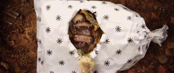 2000至2020年最好看的动画,盘点你最喜欢看的动画