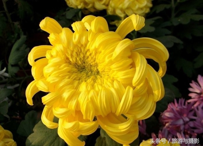 认识日本瓷器,认识日本国旗