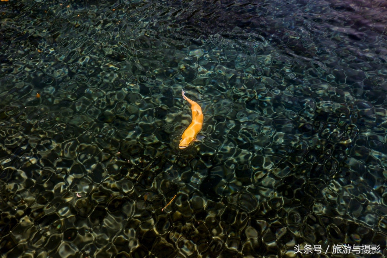 认识日本瓷器,认识日本国旗