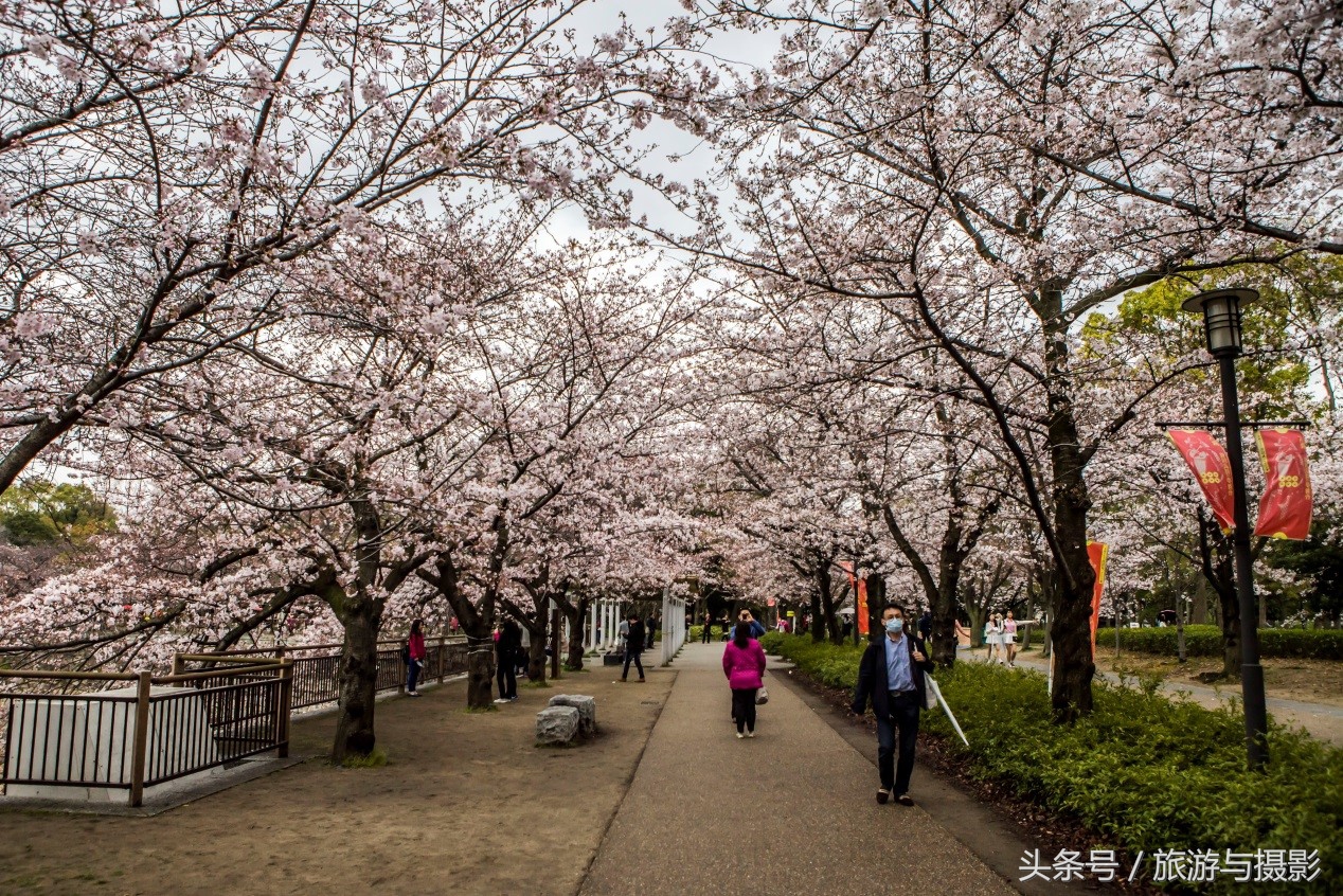 认识日本瓷器,认识日本国旗
