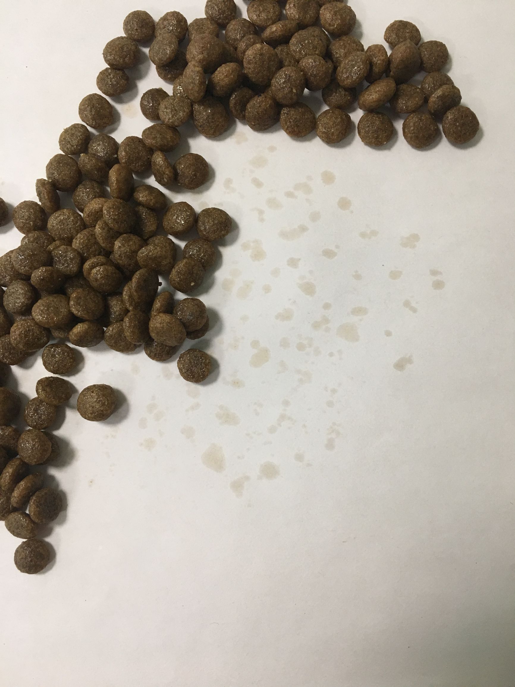 狗粮怎么选进口国产狗粮测评,进口国产狗粮测评