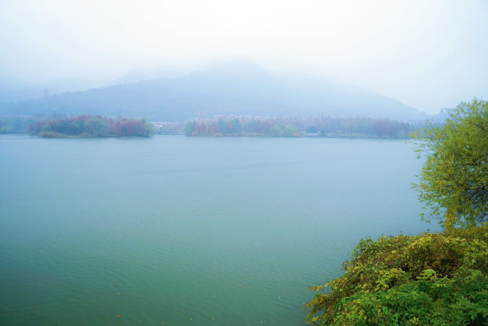 我和玛莎拉蒂的故事,我与玛莎拉蒂的故事