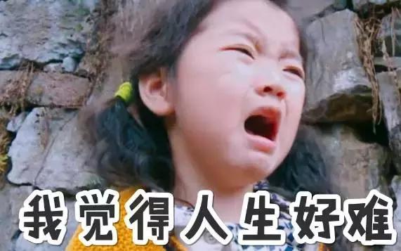 王丽坤公布恋情了吗,王丽坤林更新恋情真的吗