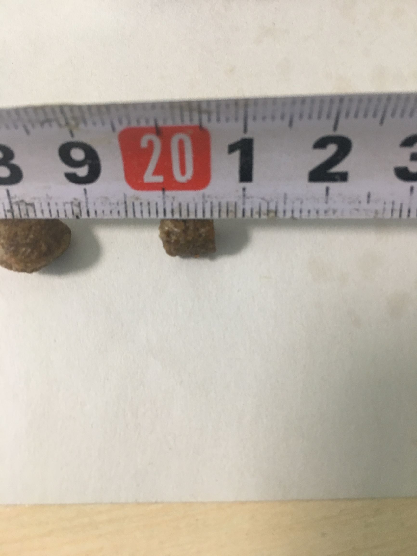 狗粮怎么选进口国产狗粮测评,进口国产狗粮测评