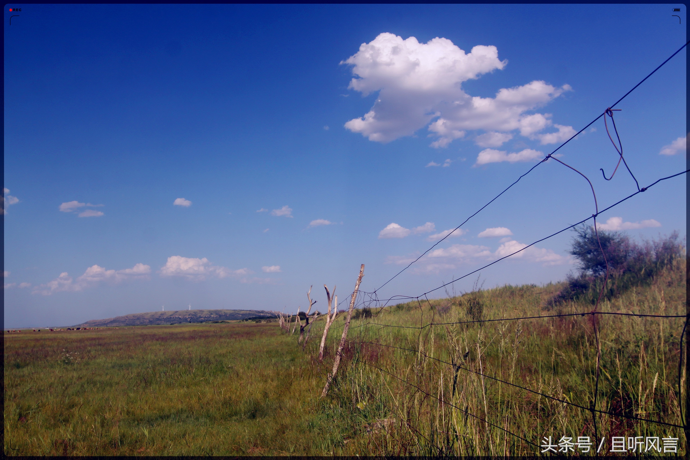 达里诺尔湖到锡林郭勒,锡林郭勒四天三晚旅游攻略自驾游