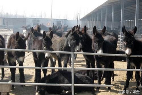 一个能赚钱的项目有哪些,一个能挣钱的行业