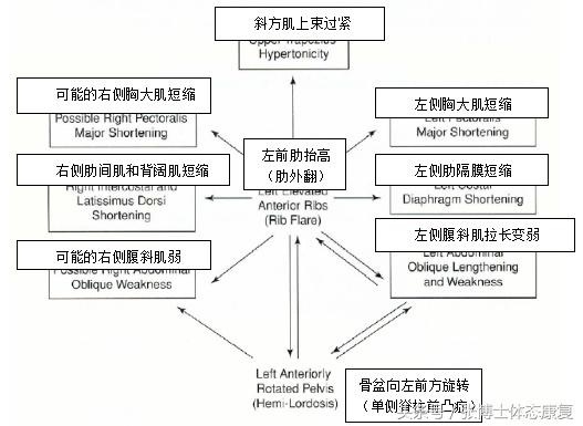 骨盆与胸廓位置调整,颞下颌关节紊乱体态矫正