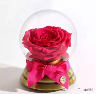 圣诞节一只口红怎么够！转给男朋友暗示一下他！口红我送你！