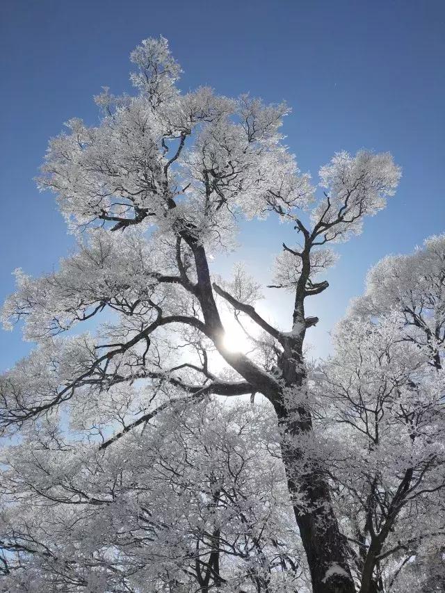冬季华山好玩么,华山冬季爬山时间