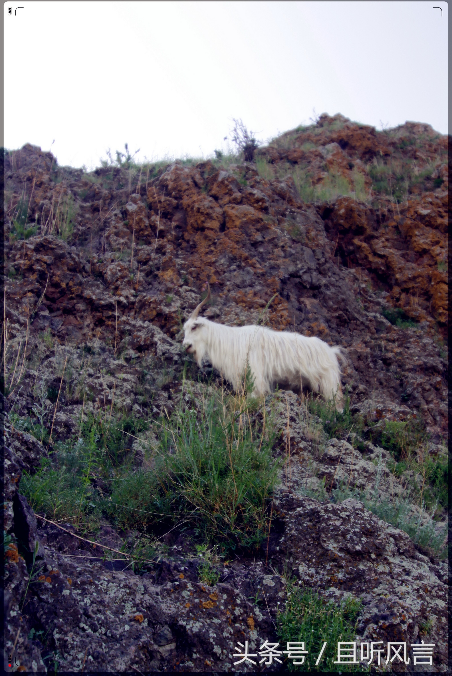 达里诺尔湖到锡林郭勒,锡林郭勒四天三晚旅游攻略自驾游