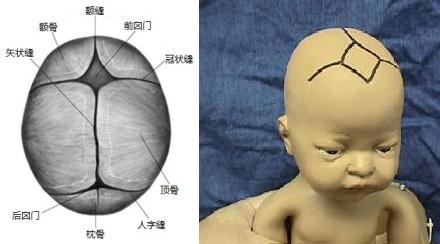 怎么查小月龄宝宝缺不缺维生素d,宝宝冬季怎么补充维生素