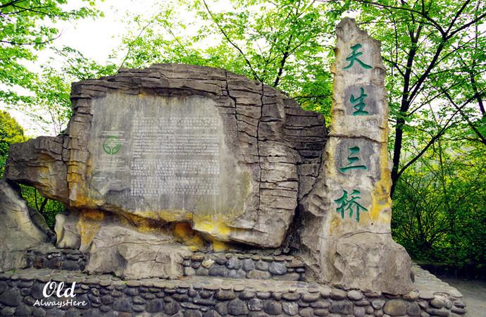 佛山坐高铁可以去重庆吗,在佛山坐高铁去重庆要多久