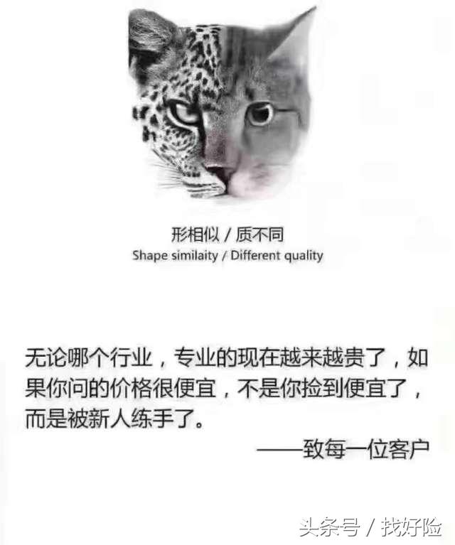 返佣收益,返佣率10%