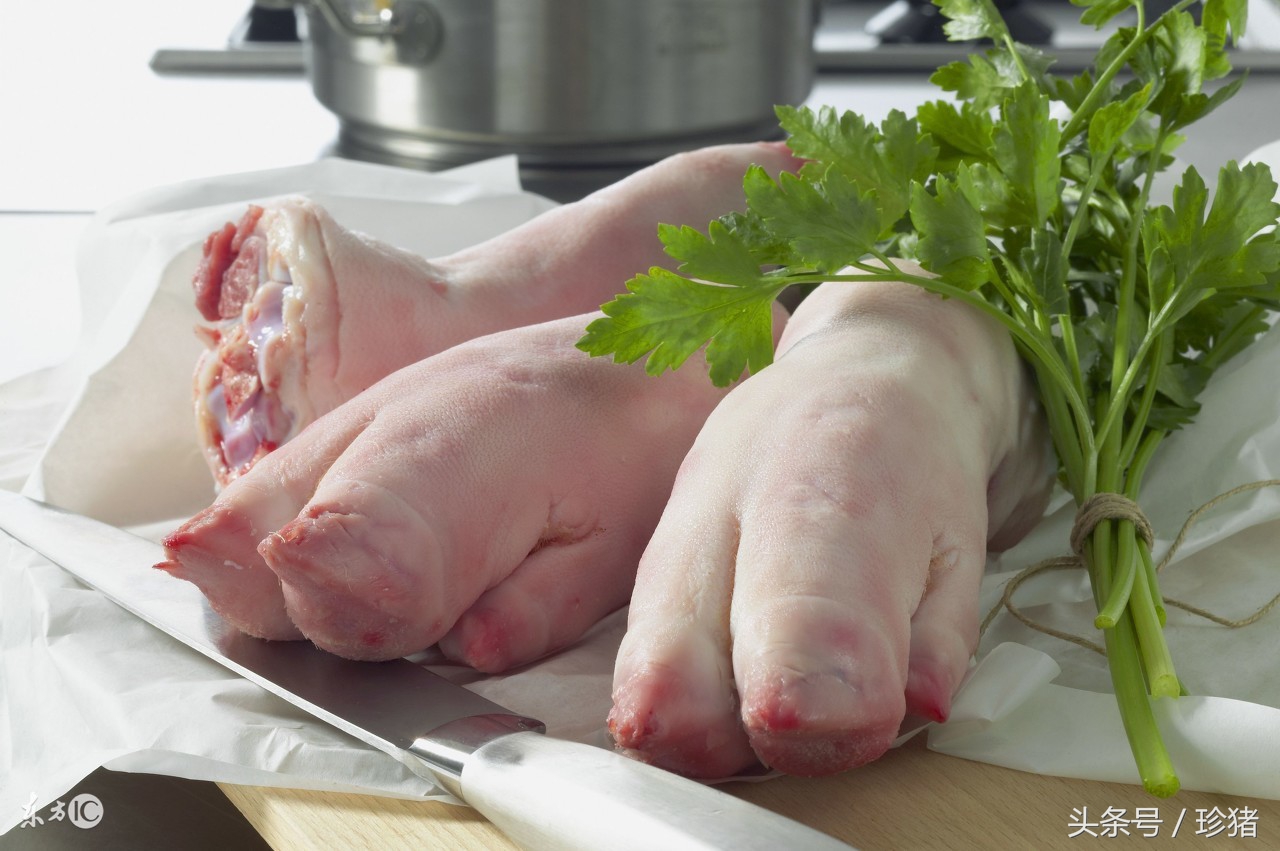 如何预防猪场小猪烂蹄,养猪宝典有哪些