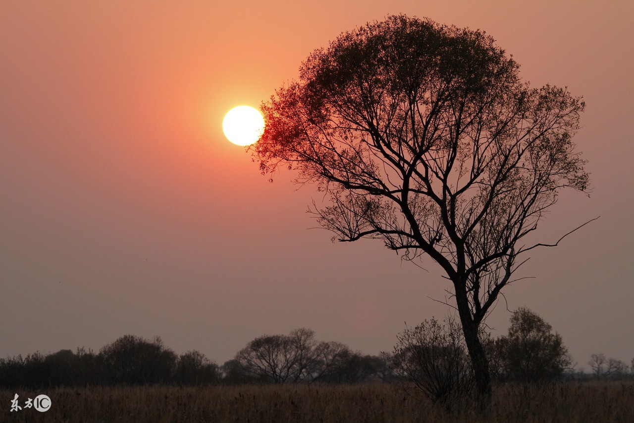 小学语文知识点归纳关联词的作用,小学语文最全关联词用法重点讲解