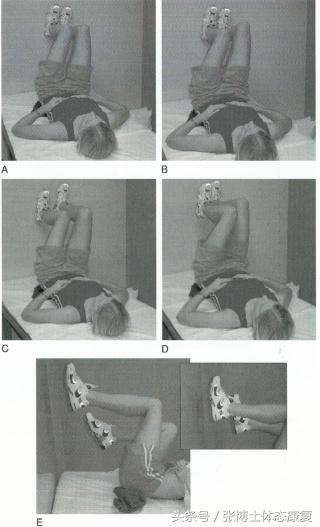 骨盆与胸廓位置调整,颞下颌关节紊乱体态矫正
