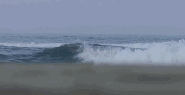 妖猫传里的黑猫,听说妖猫传里的路人都是盛世容颜