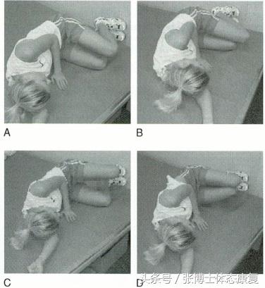 骨盆与胸廓位置调整,颞下颌关节紊乱体态矫正